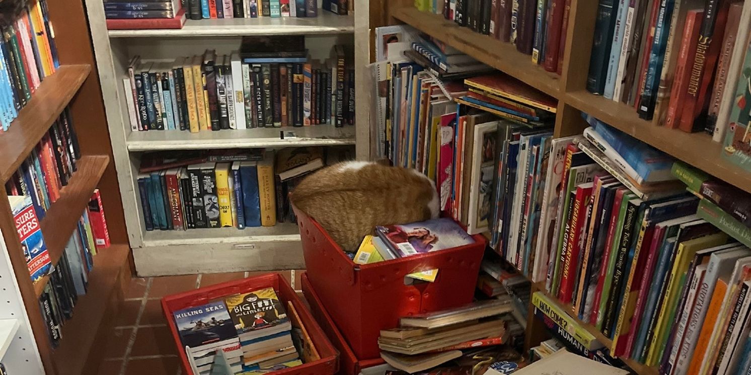 Student Blog: How I've Challenged Myself as a Writer this Fall  Image