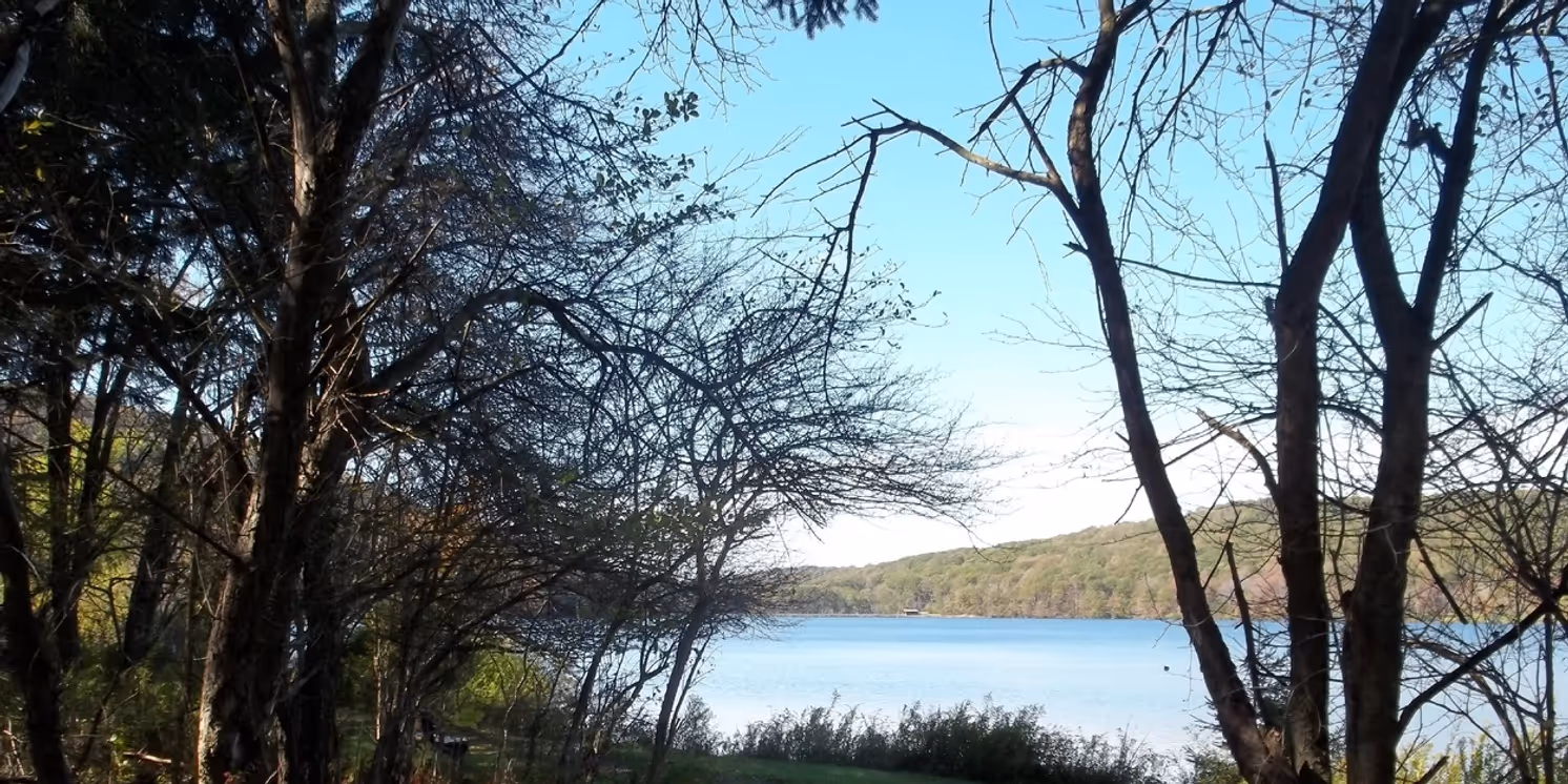 Student Blog: How Life Has Changed  Image