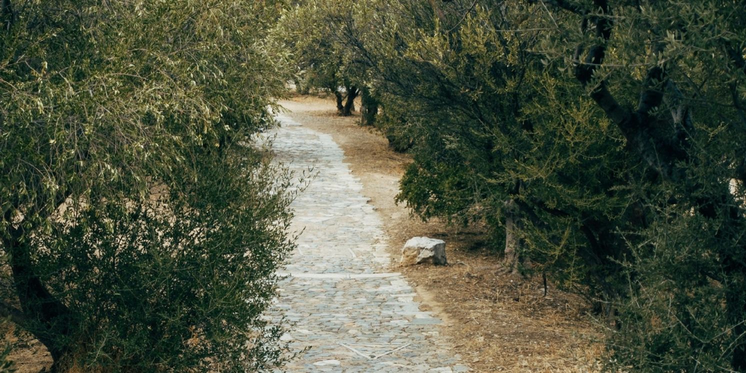 Student Blog: Just Keep Moving On  Image