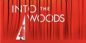 Student Blog: Moments In The Woods Photo