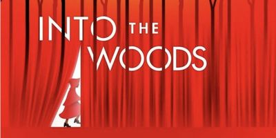 Student Blog: Moments In The Woods Photo