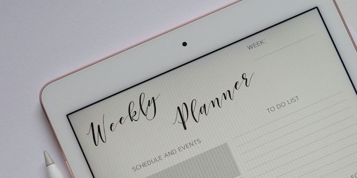Student Blog: My Expectations For This Semester