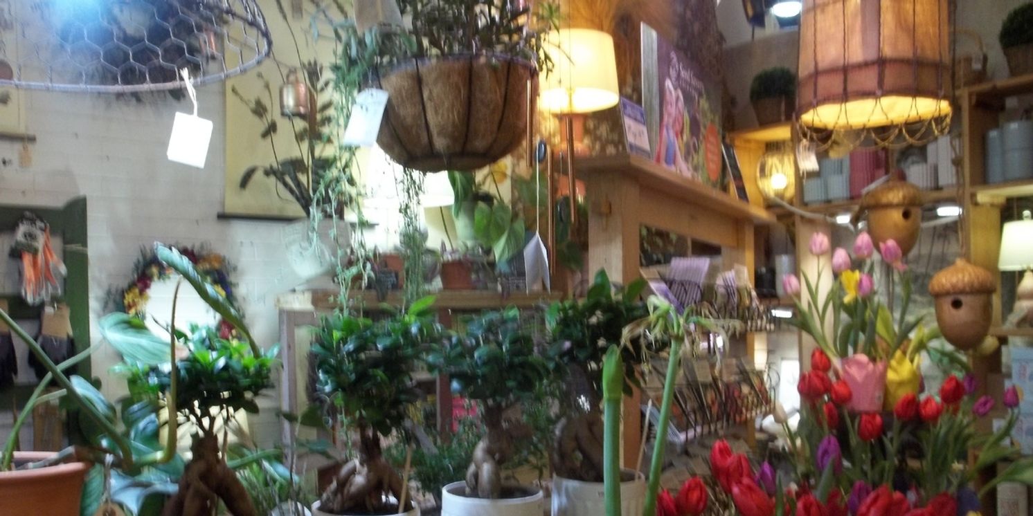 Student Blog: My Offenses Towards Dance Substitutes  Image