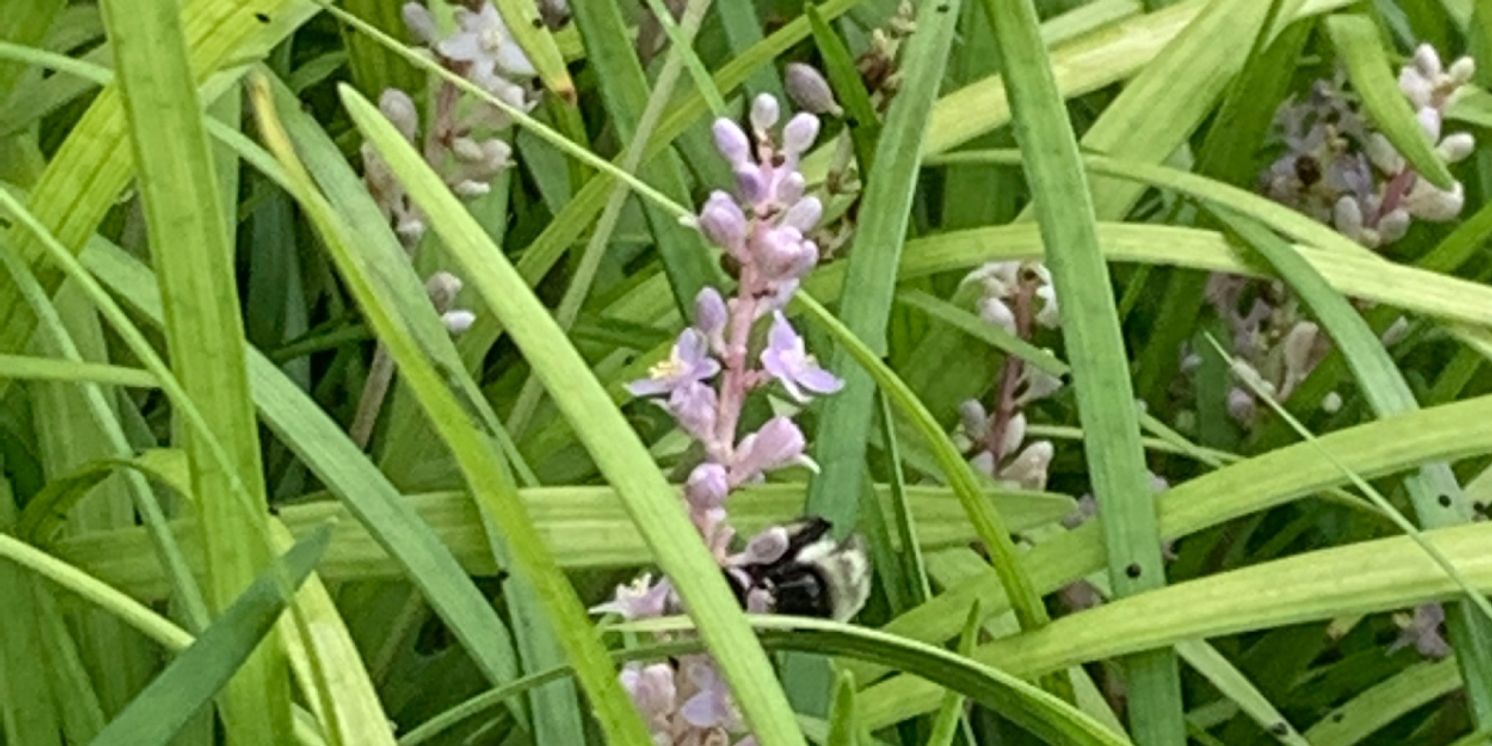 Student Blog: My Take On Academic Integrity  Image