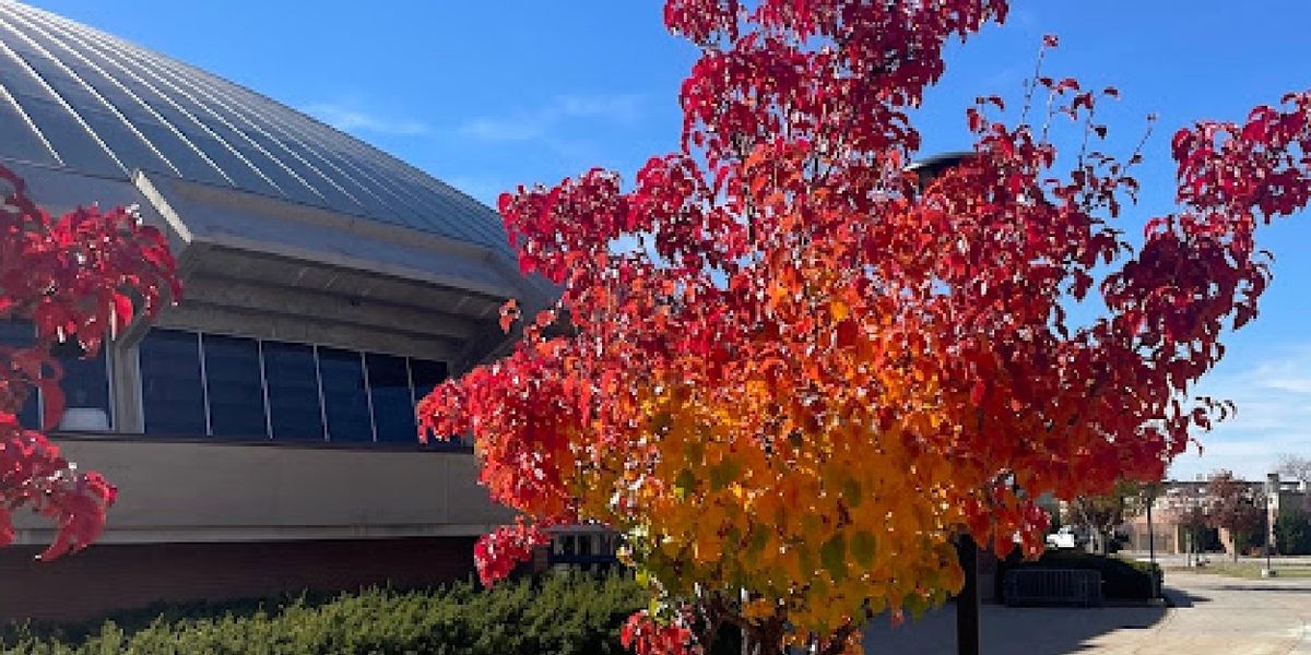 Student Blog: Offstage Growth