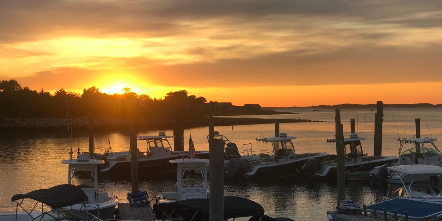 Student Blog: Performing Arts Is Alive In the Community!  Image