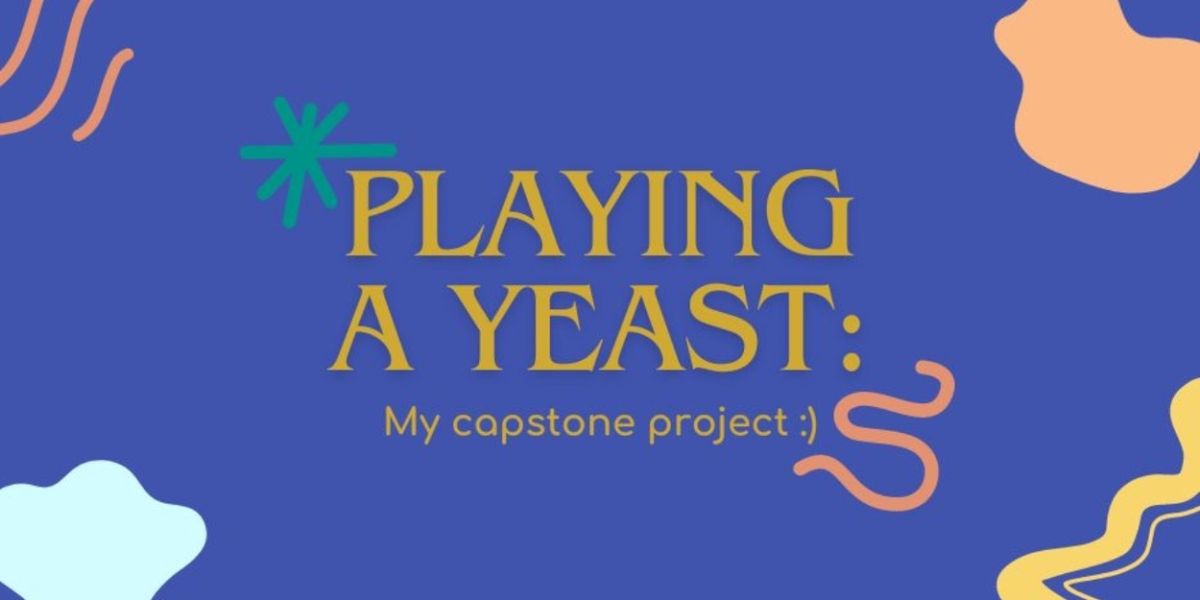 Student Blog: Playing a Yeast: My Capstone Project