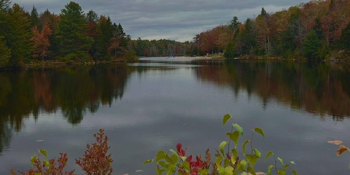 Student Blog: Seasons of a Year