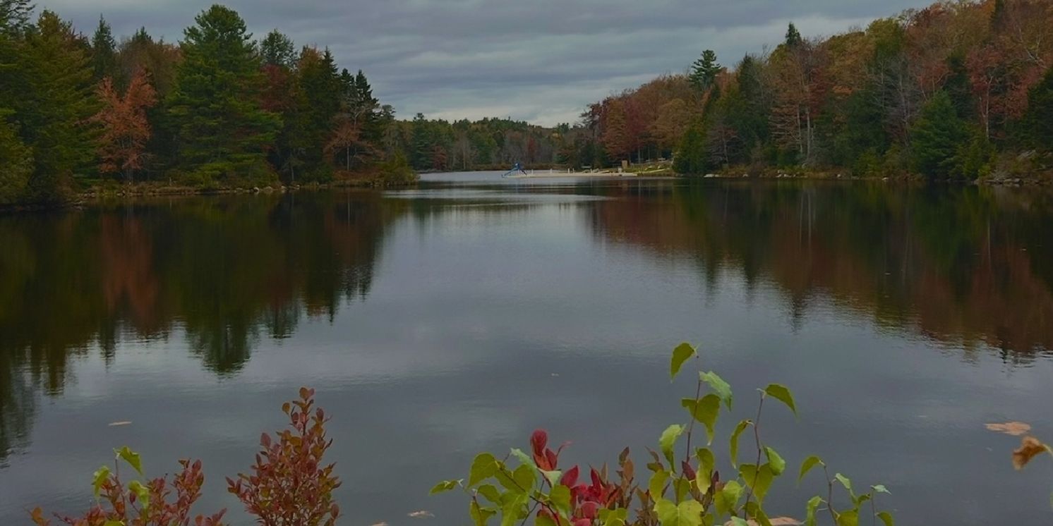 Student Blog: Seasons of a Year  Image