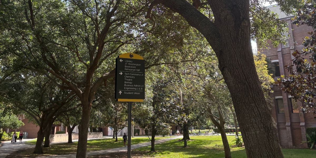 Student Blog: Seizing the Rest of the Semester