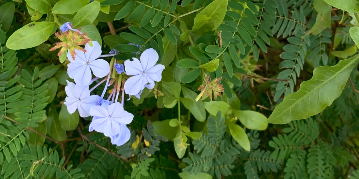 Student Blog: Spring is Here!