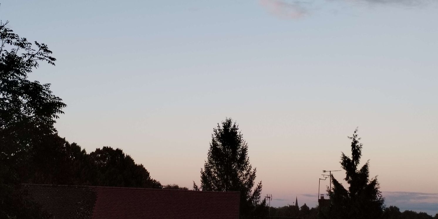 Student Blog: Starting Out Again  Image