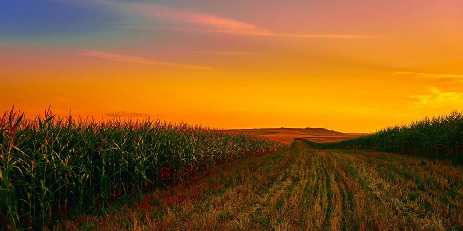 Student Blog: Summer Stock: OKLAHOMA!  Image