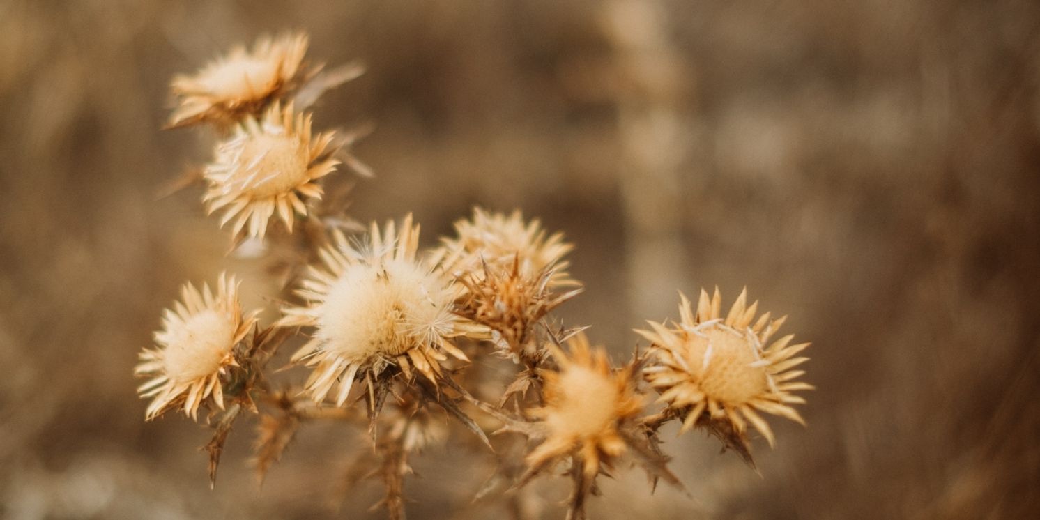 Student Blog: Summers Come and Summers Go  Image