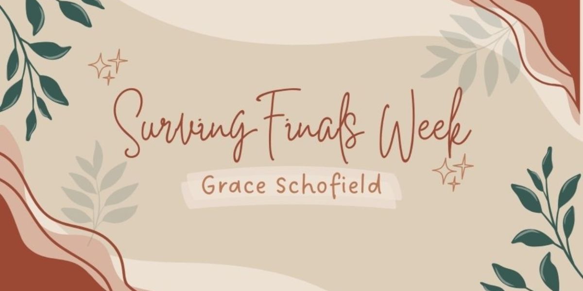Student Blog: Surviving Finals Week