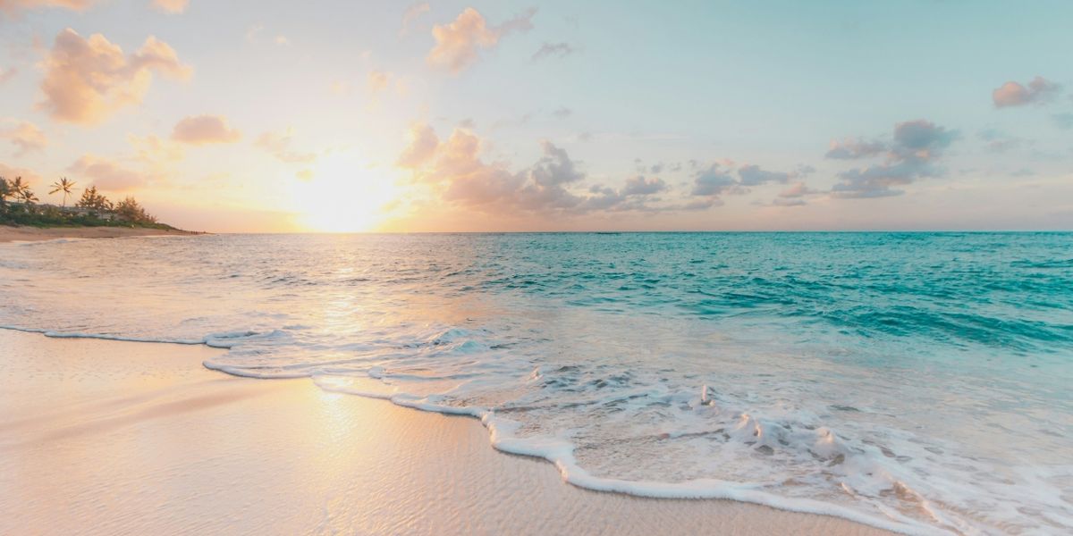 Student Blog: Take a Break: No Literally, Take a Break