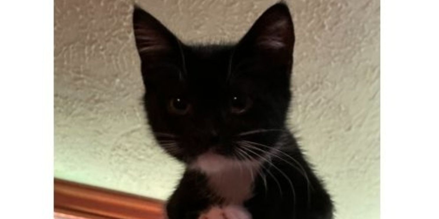 Student Blog: Take a Break  Image