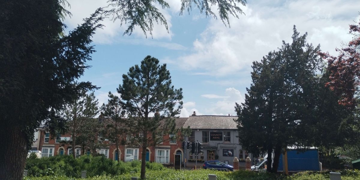 Student Blog: The (Un)Summer-y Blues