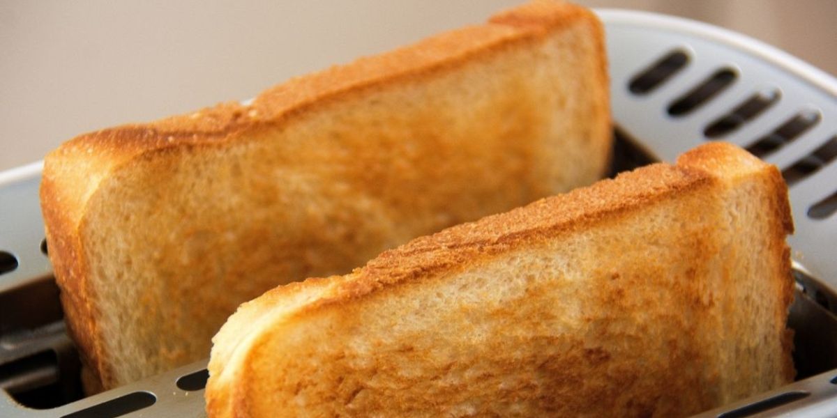 Student Blog: Toasting Burnout with Megan