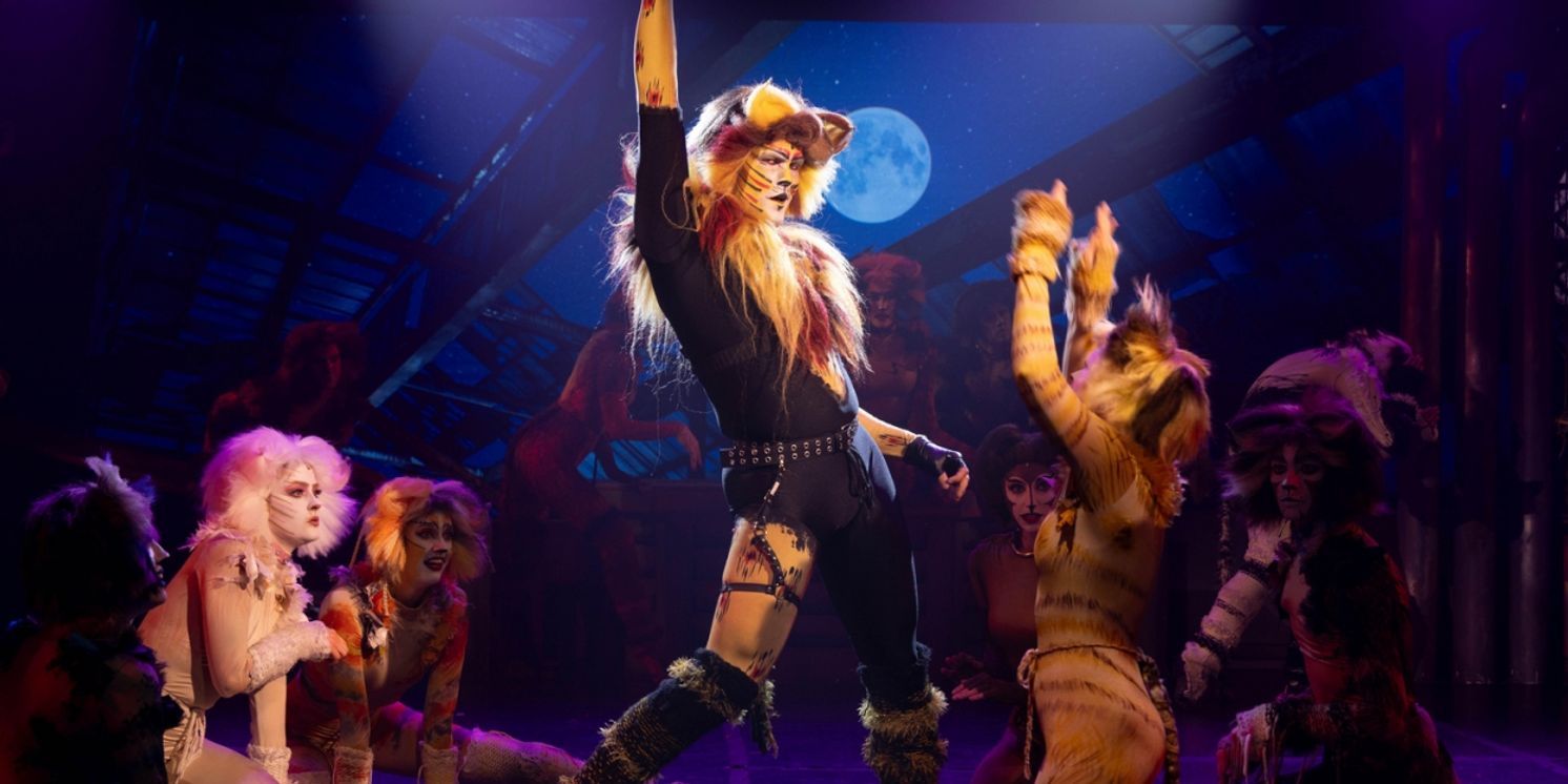Suncoast Broadway Dinner Theatre Presents Andrew Lloyd Webber's CATS  Image