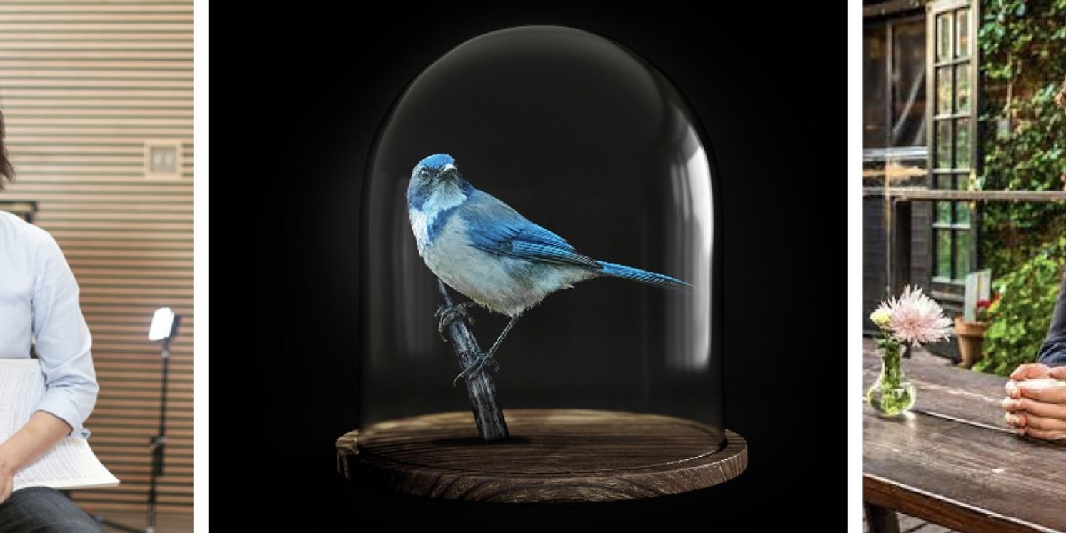 Sydney Philharmonia Will Perform LOST BIRDS in August  Image