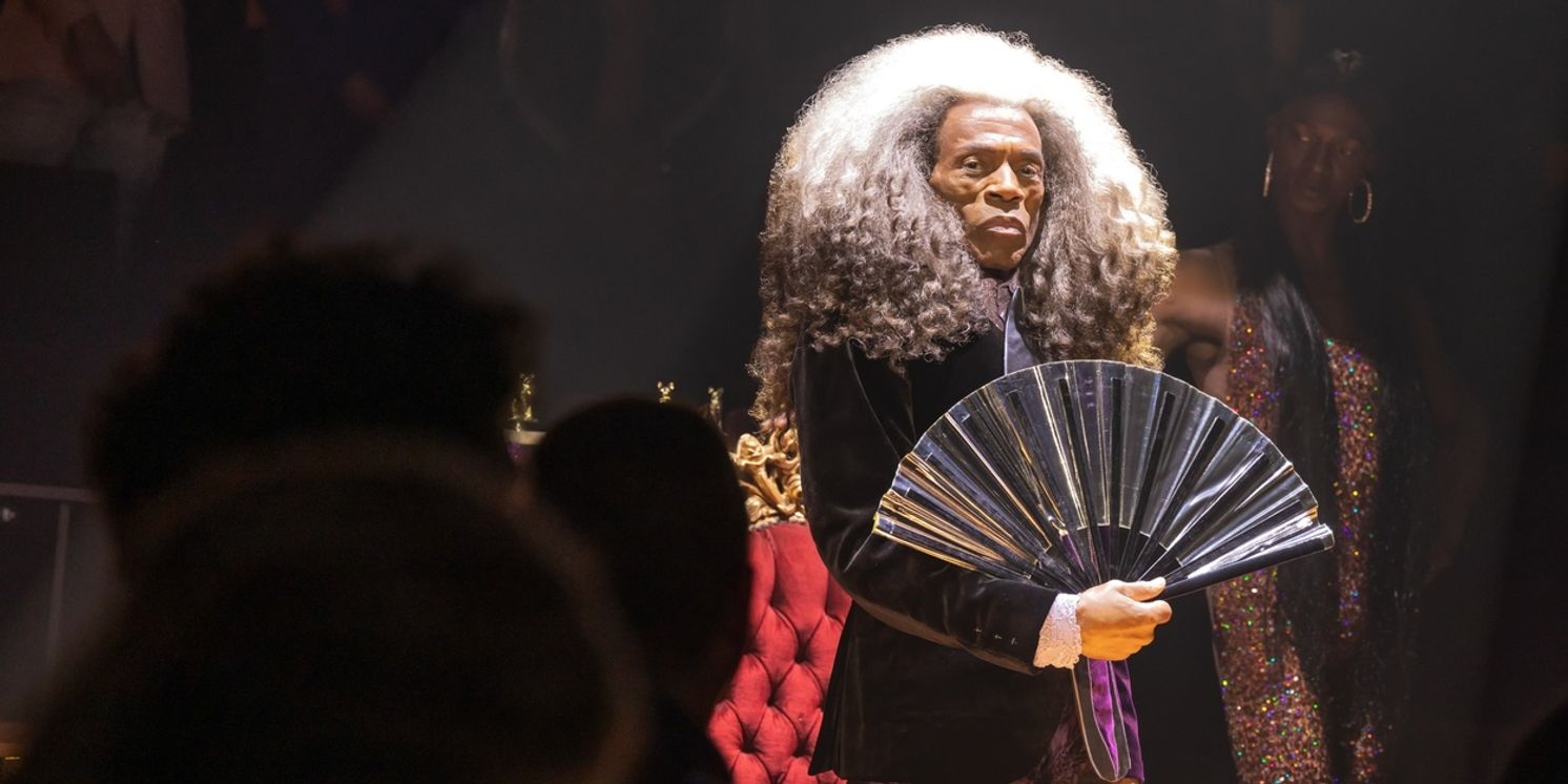 TDF and CATS: THE JELLICLE BALL Partner to Launch Accessibility Initiatives  Image