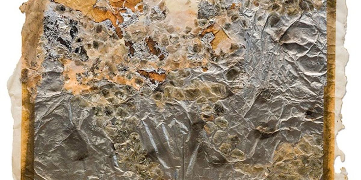 TENDER ALCHEMY: BETH AMES SWARTZ AND JULIANNE SWARTZ Opens At Scottsdale Museum of Contemporary Art In March 2026