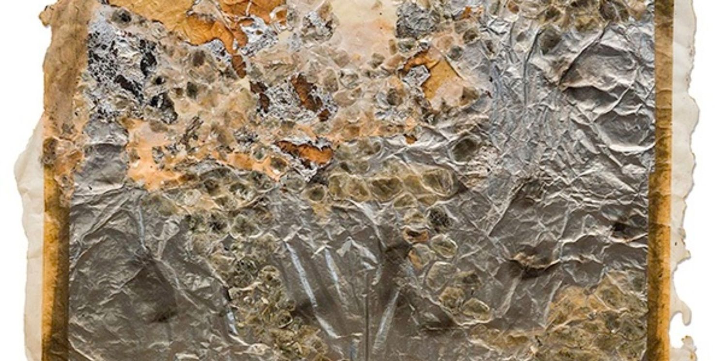 TENDER ALCHEMY: BETH AMES SWARTZ AND JULIANNE SWARTZ Opens At Scottsdale Museum of Contemporary Art In March 2026  Image