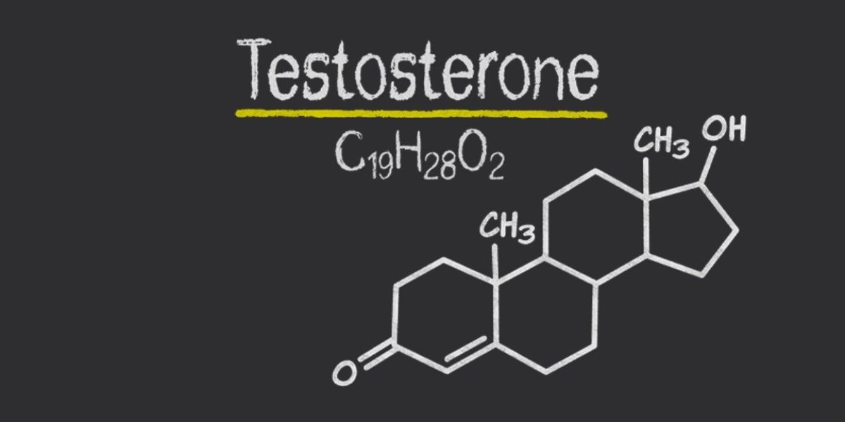 TESTOSTERONE Comes to Atlas Performing Arts Center in March
