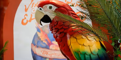 TEXAS TROPICS Pop-Up Gallery Opens at The Aiden