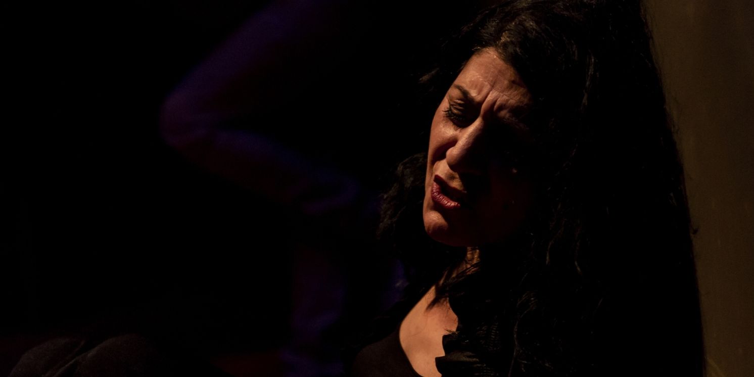 THE AUDITION Will Embark on a Melbourne-Metro Tour  Image