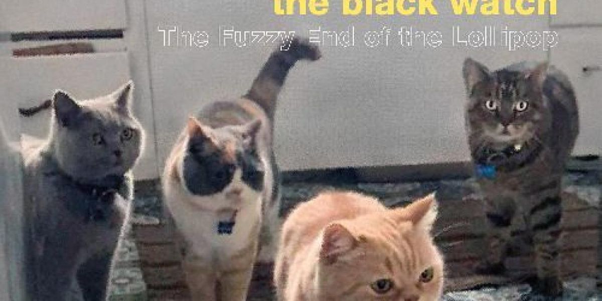 THE BLACK WATCH to Release 27th Album THE FUZZY END OF THE LOLLIPOP