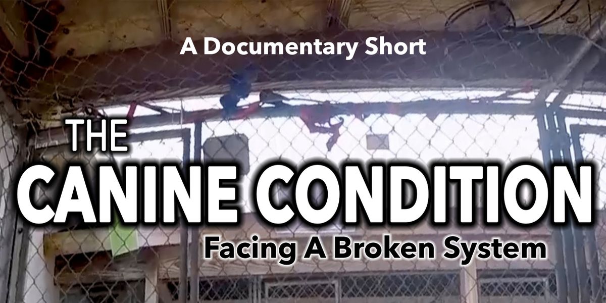 THE CANINE CONDITION: FACING A BROKEN SYSTEM Documentary Short To Compete At The 19th Annual LA Femme International Film Festival
