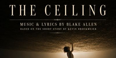THE CEILING Musical to Be Directed by Susan Aston at Le Poisson Rouge Photo
