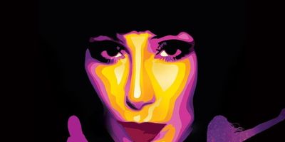 THE CHER SHOW, MEAN GIRLS, and PRETTY WOMAN Set For Clear Space Theatre Company This Summe Photo