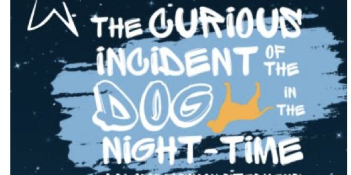 THE CURIOUS INCIDENT OF THE DOG IN THE NIGHT-TIME to Open at Theatre Arlington