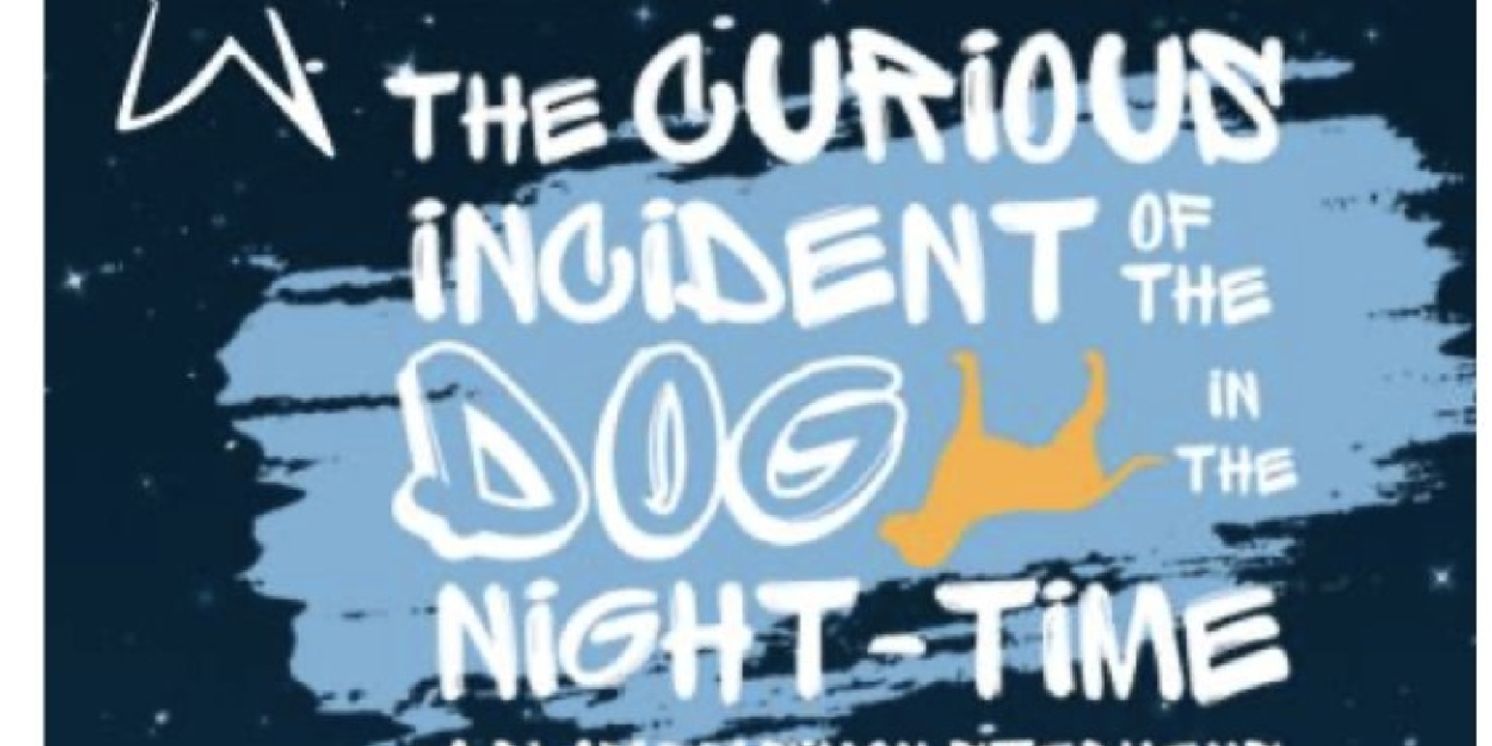 THE CURIOUS INCIDENT OF THE DOG IN THE NIGHT-TIME to Open at Theatre Arlington  Image