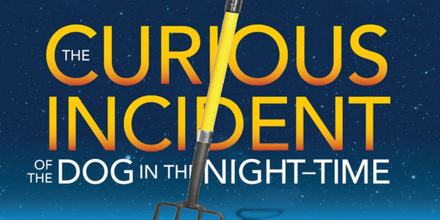 THE CURIOUS INCIDENT OF THE DOG IN THE NIGHT-TIME Comes to South Camden Theatre Company  Image