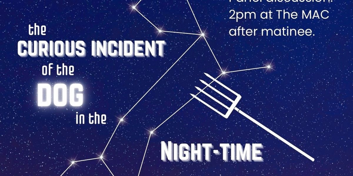 THE CURIOUS INCIDENT OF THE DOG IN THE NIGHT-TIME to Host Autism Panel at Eastbound Theatre