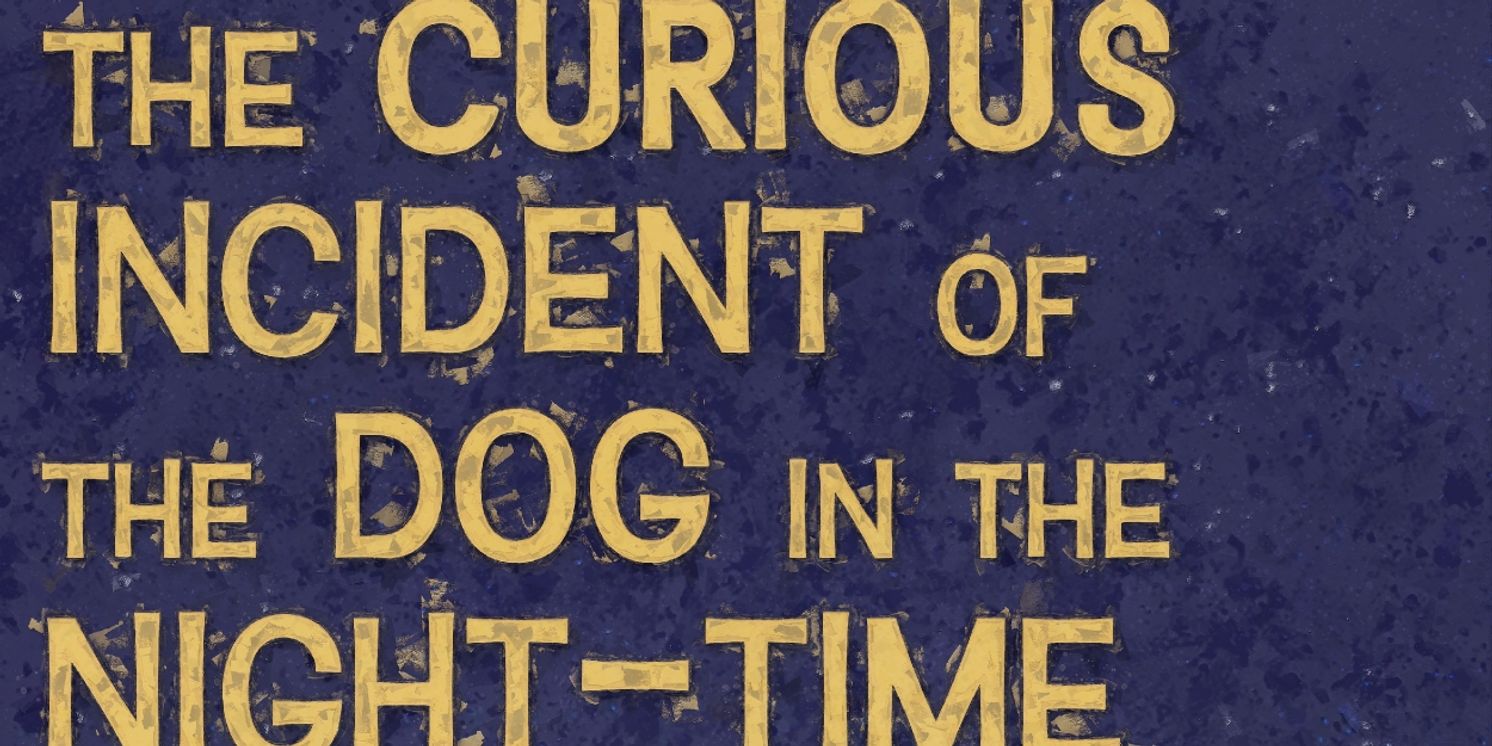 THE CURIOUS INCIDENT OF THE DOG IN THE NIGHT-TIME to Open at Tacoma Little Theatre  Image