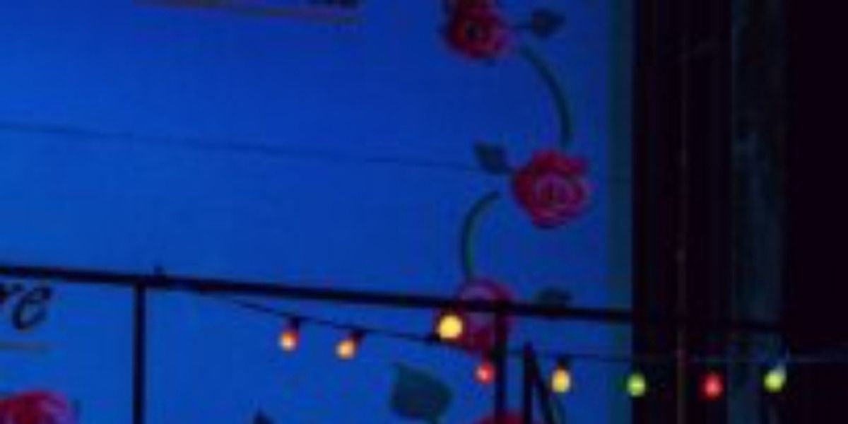 THE ELIXIR OF LOVE to Open The Dallas Opera's 2026/2027 Season