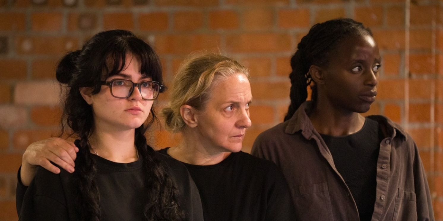 THE FLOWERS OF SREBRENICA Marks The 30th Anniversary Of The Srebrenica Genocide  Image