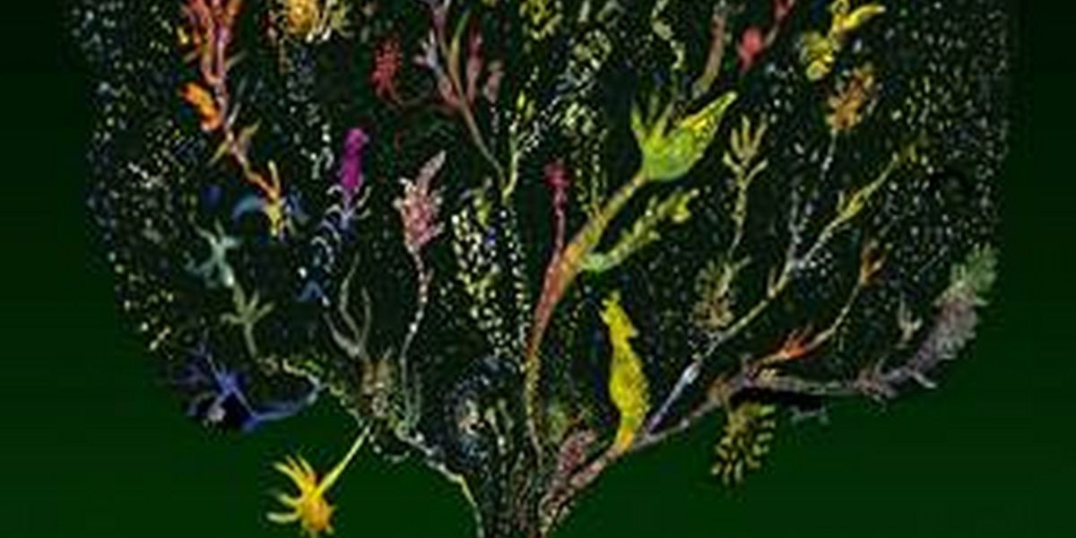 THE GLASS MENAGERIE