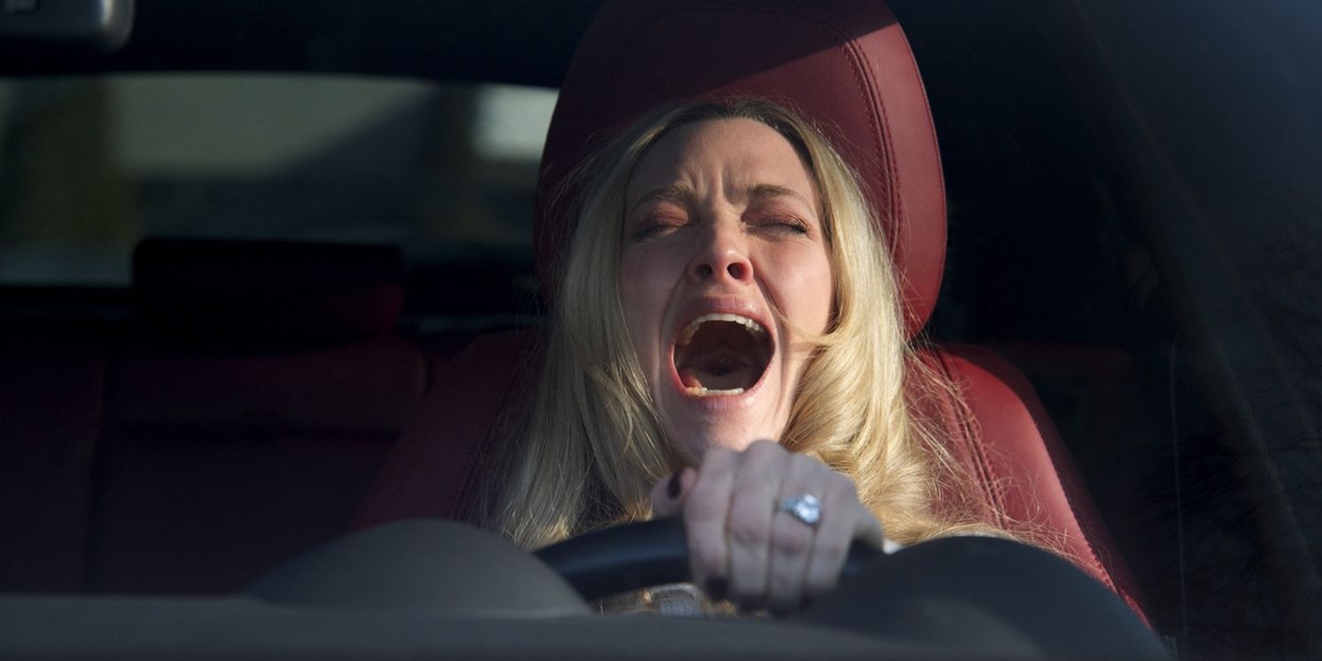 THE HOUSEMAID To Premiere Exclusively on STARZ in April  Image