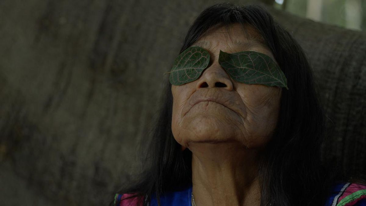 THE HUMMINGBIRD PAINTS FRAGRANT SONGS to Open DOC NYC 2026
