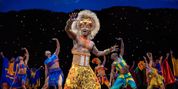 THE LION KING to Return to Brisbane's QPAC for First Time in Over a Decade Photo