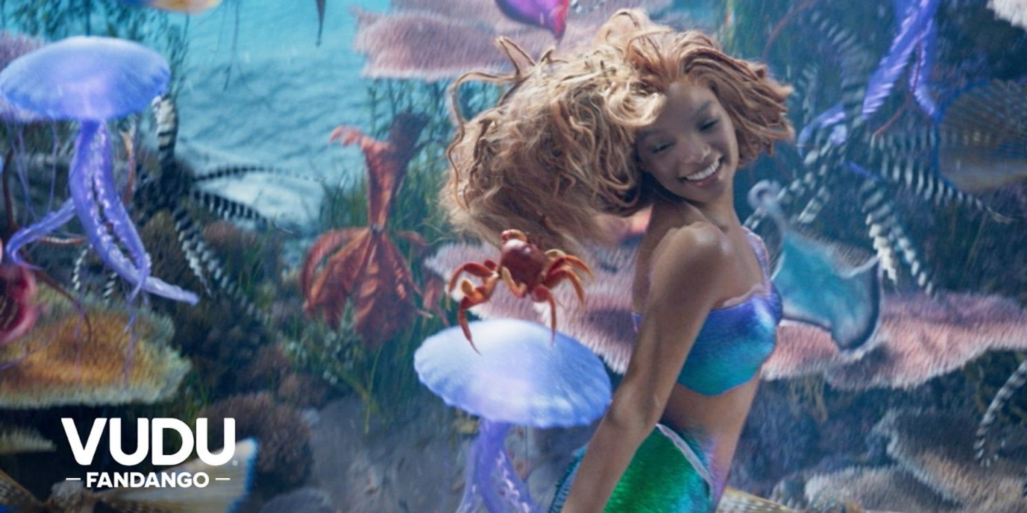 THE LITTLE MERMAID Now Available on VUDU  Image