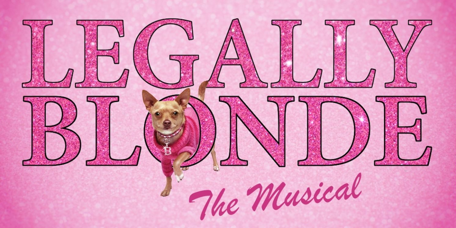LEGALLY BLONDE THE MUSICAL to be Presented at The MAC Players in July  Image