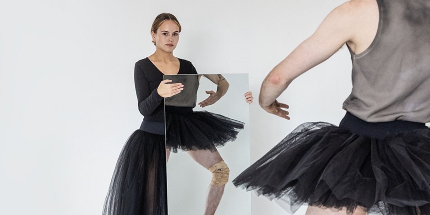 THE MIRROR STAGE Comes to Project Arts Centre  Image