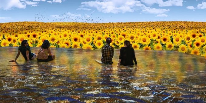 THE NEW IMMERSIVE VAN GOGH: THE NEXT CHAPTER Ends Las Vegas Run in 2026 Photos